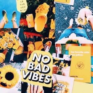 Meet your Posher, Paul